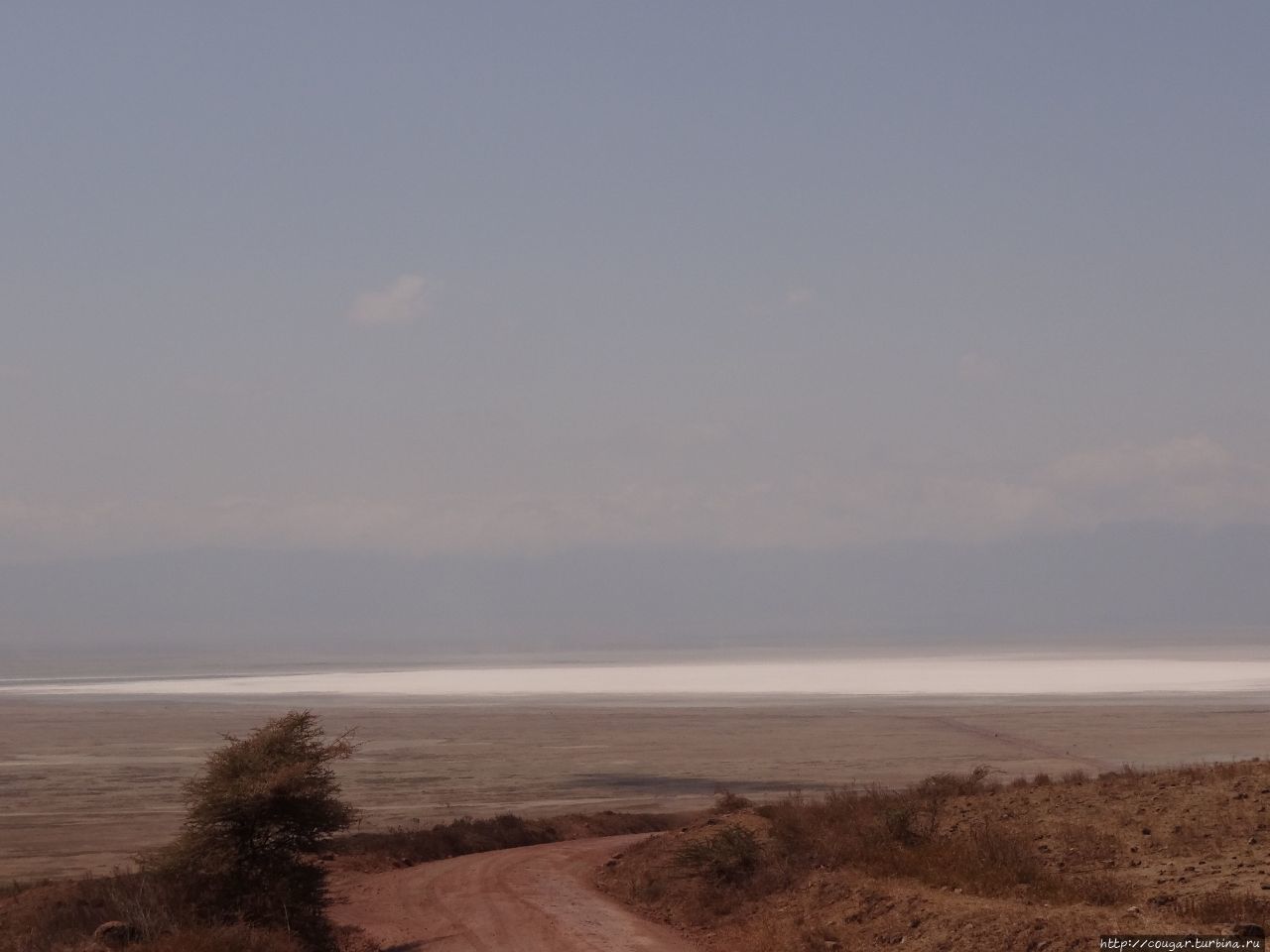 Озеро Магади оказалось пересохшим, так что поехали к родникам. Нгоронгоро (заповедник в кратере вулкана), Танзания