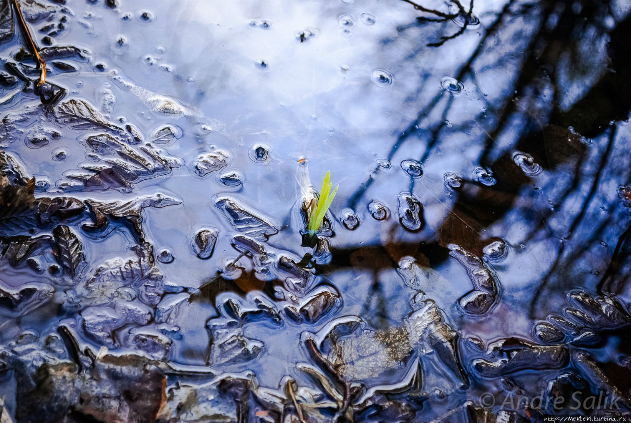 Озеро Слокас Кемери, Латвия