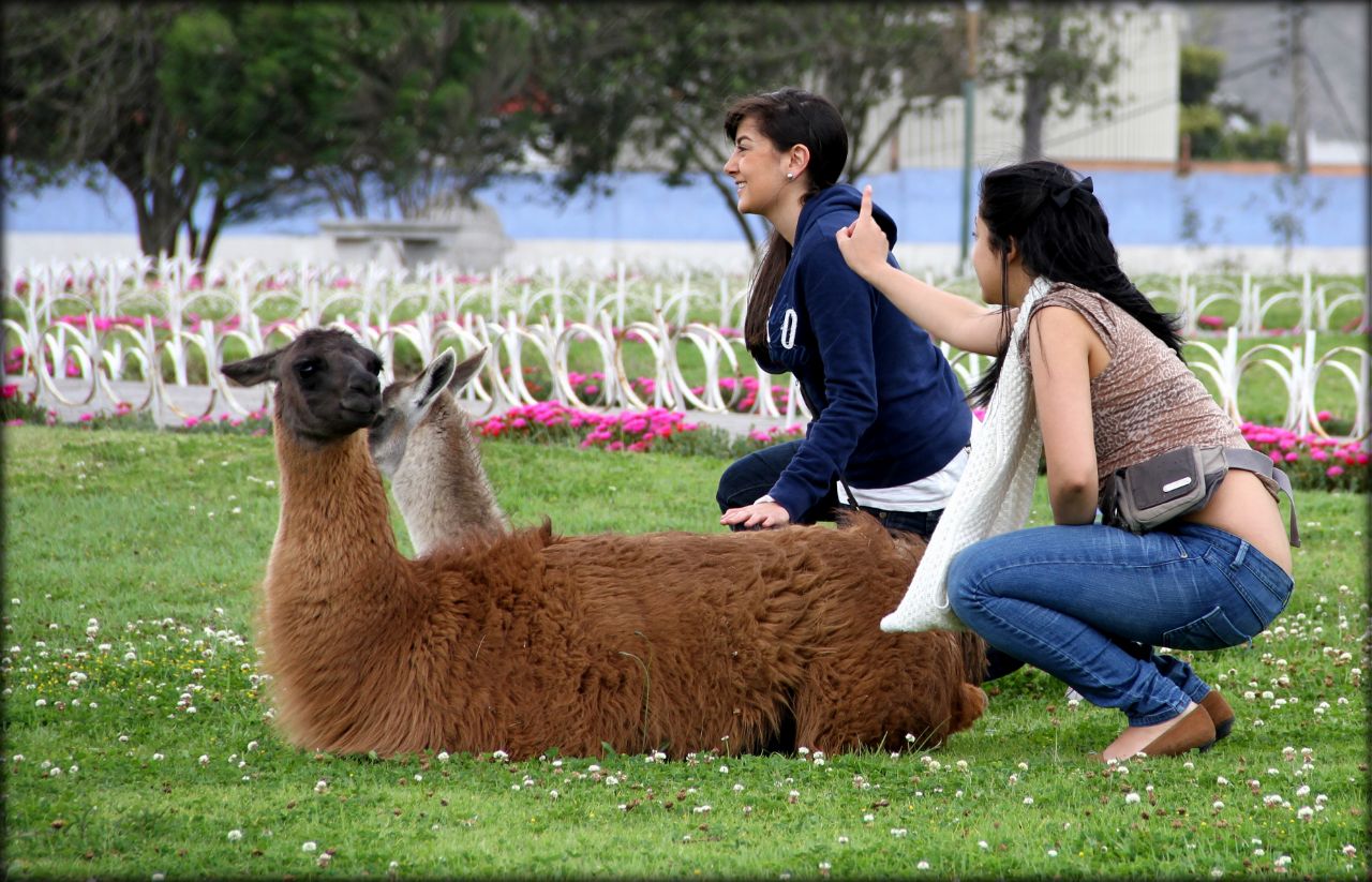 Девушки бывают разные — часть 4 Девушки бывают разные — часть 4