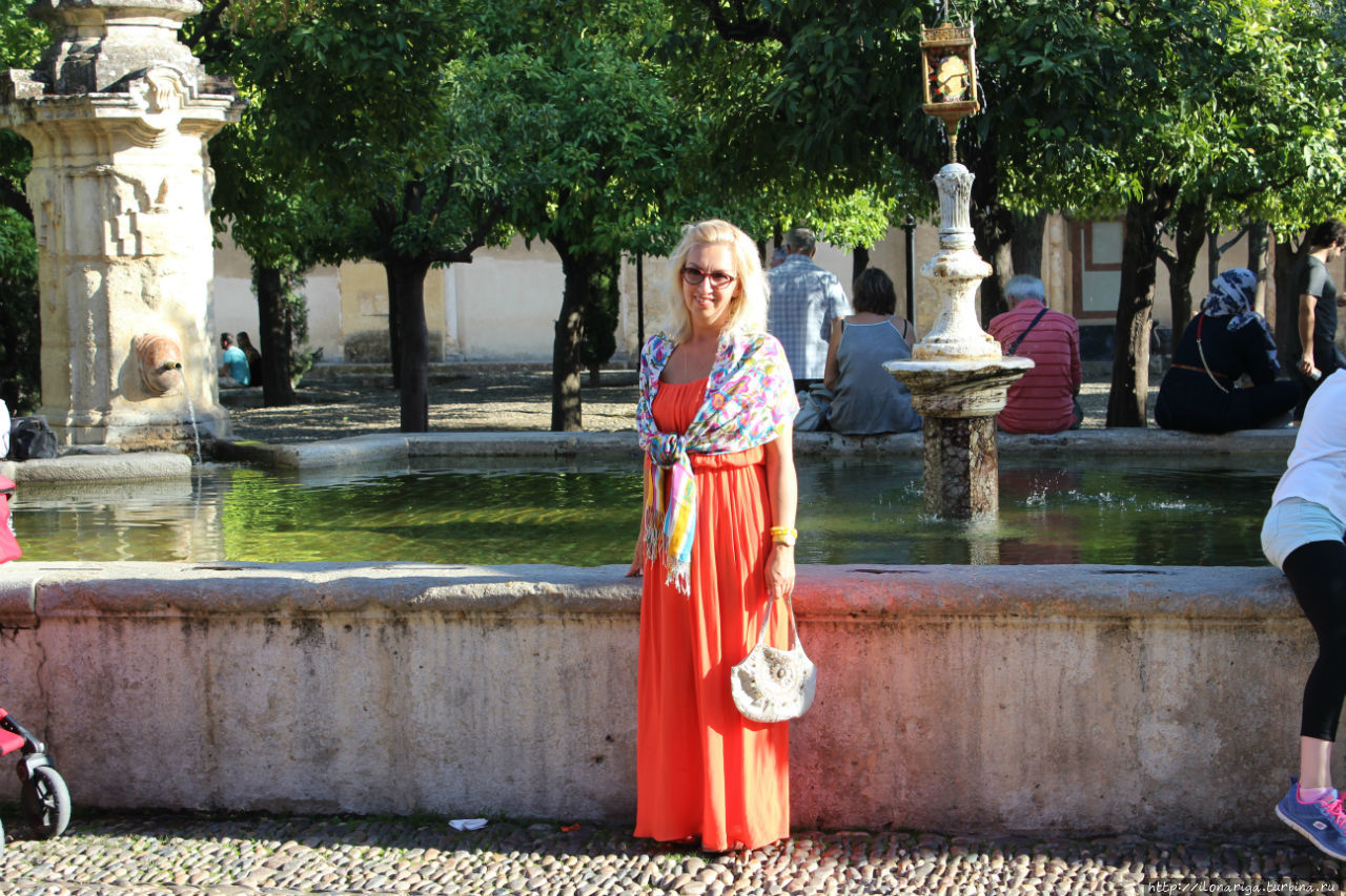 В кордобскую соборную мечеть я собиралась, как на праздник! Ведь это был день исполнения мечты.