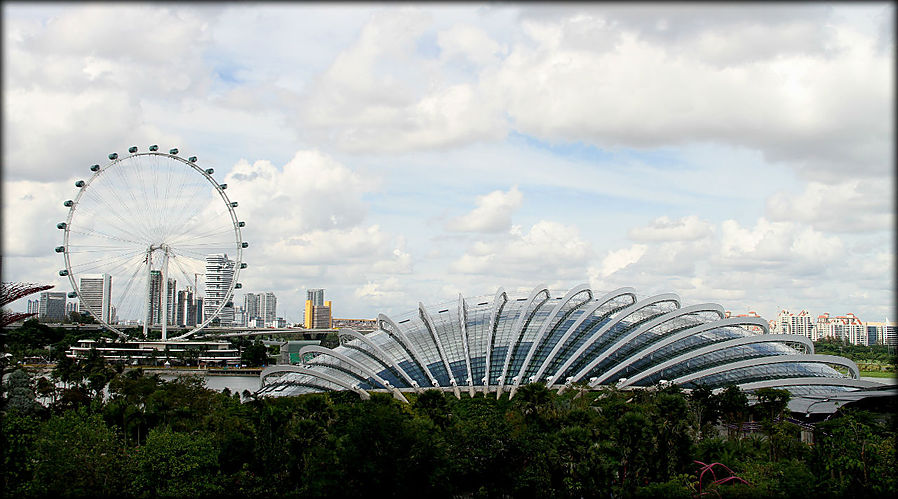 Лучший сад Сингапура или супер-деревья южного парка Сингапур (город-государство)