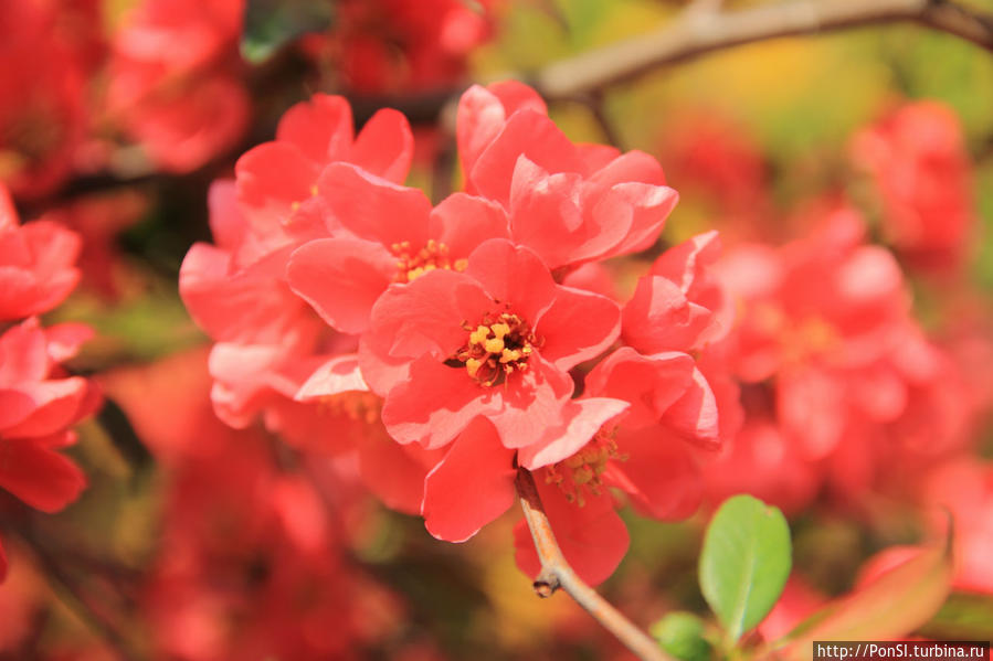 Венгрия моими глазами Венгрия