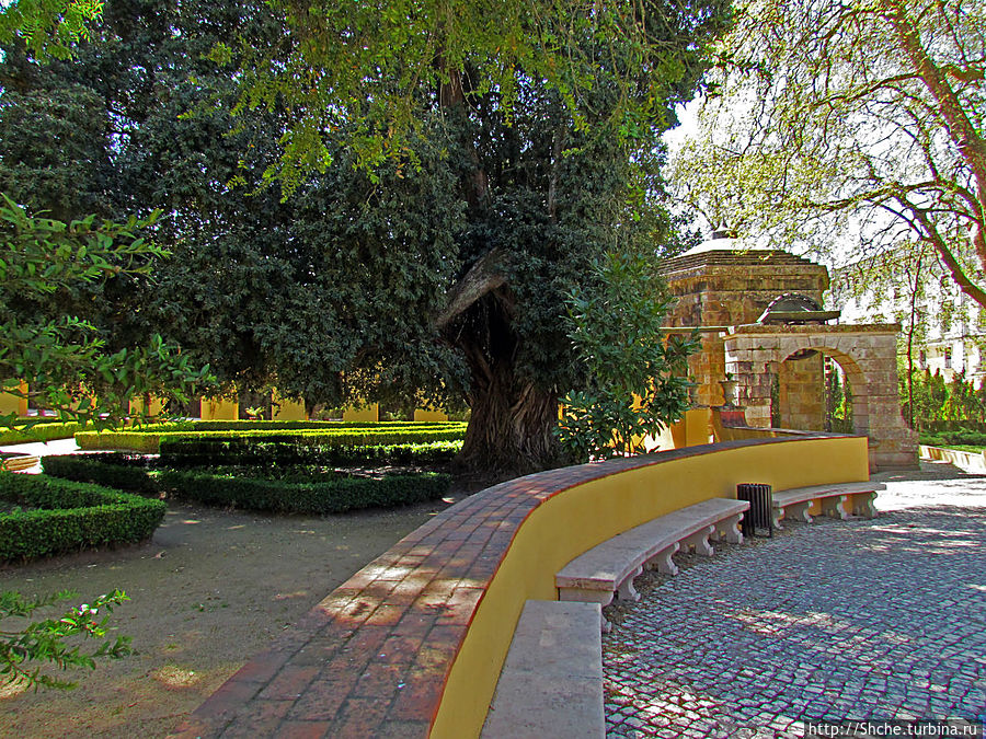видно, что парк примыкает к задней стене дворца Мафра, Португалия
