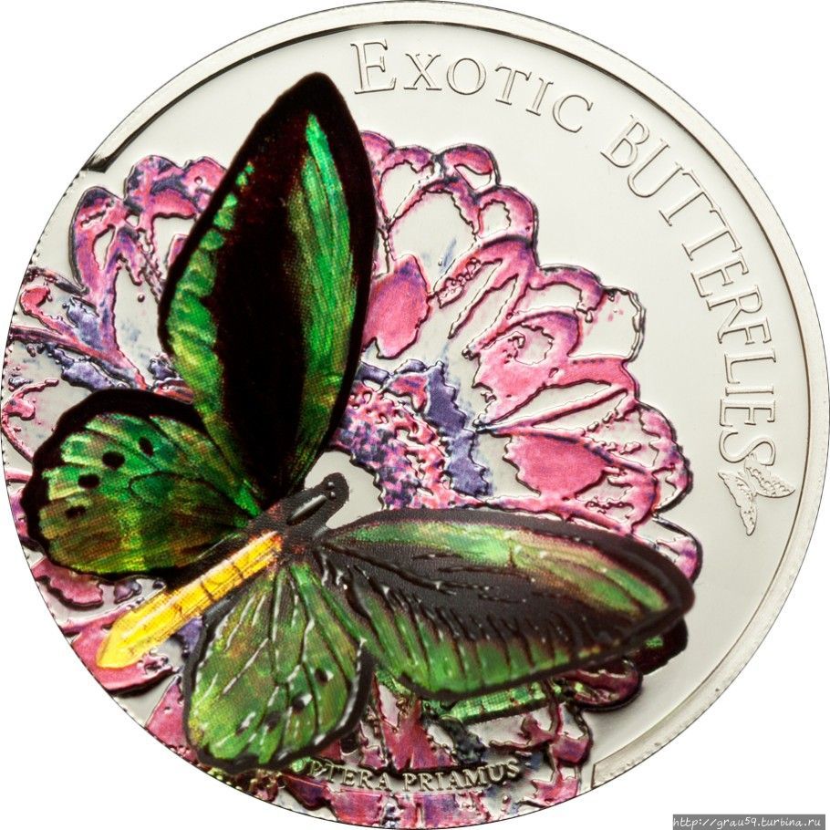 3D-монеты. Экзотические бабочки ЦАР