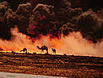 Пожар на нефтяных полях Ахмади,  Южный Кувейт. Автор  Стив Мак-Карри, 1991 год.