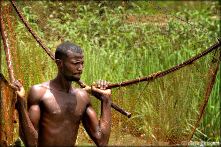 Что? Где? Когда?