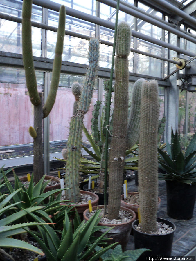 Прогулка по Женеве, ч. 3 Ботанический сад Женева, Швейцария