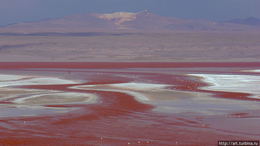 здесь художник природа попрактиковалась в рисовании красными и белыми красками Уюни, Боливия