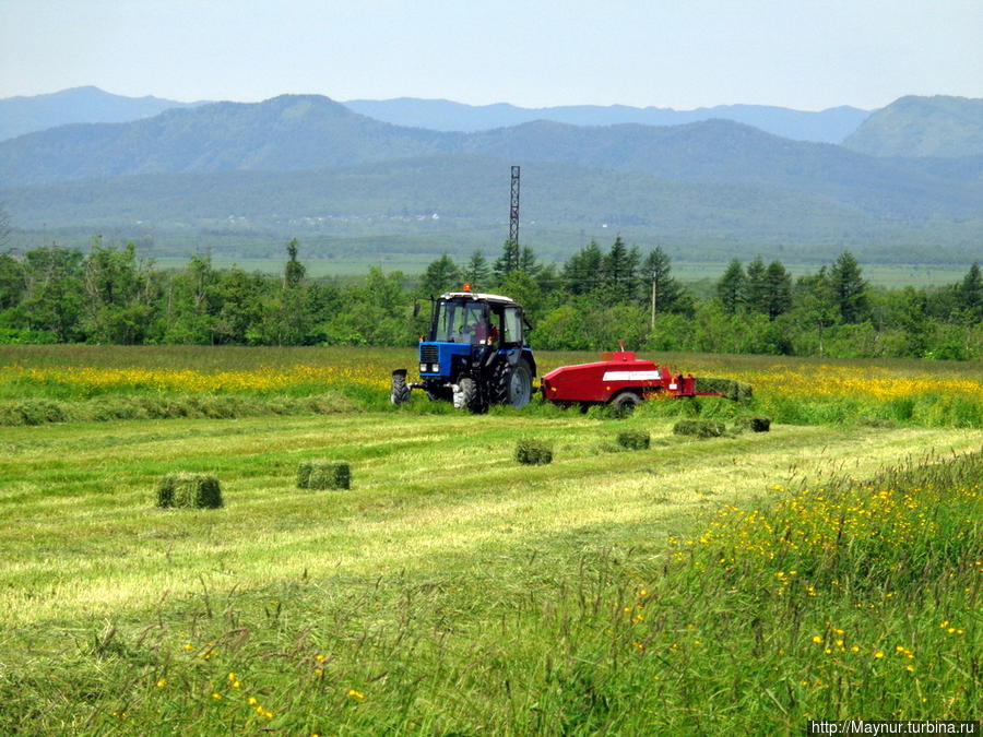 Не  все  так  плохо ... Южно-Сахалинск, Россия