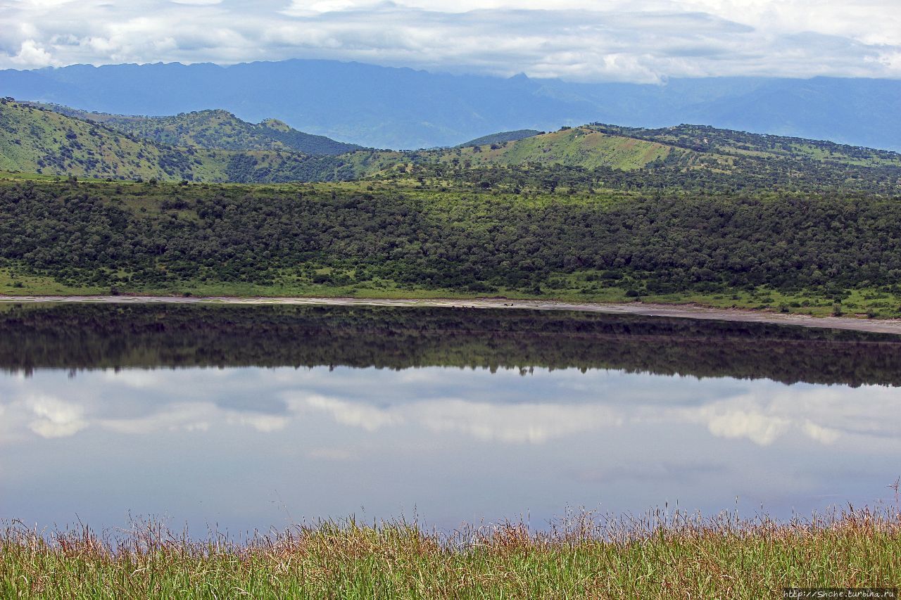 Озеро Нуамунука Королевы Елизаветы Национальный Парк, Уганда