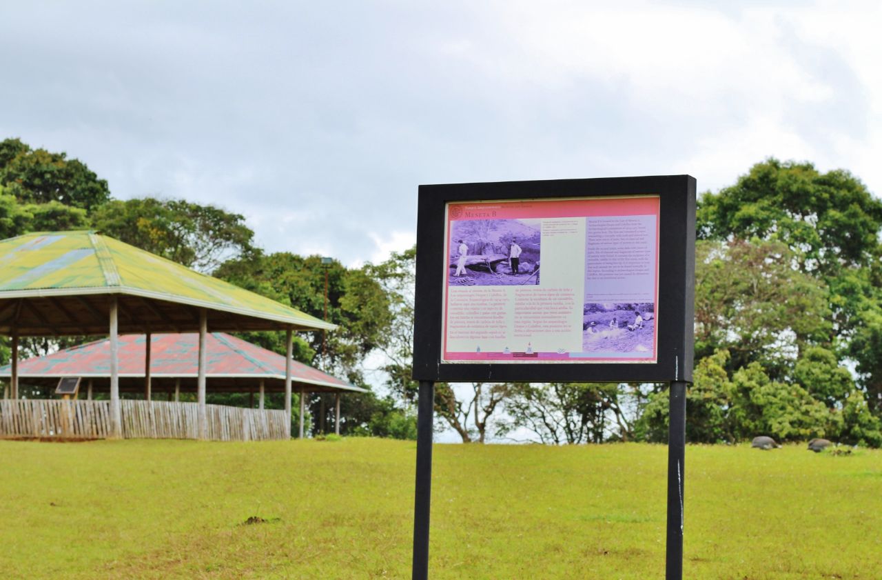 Археологический парк 