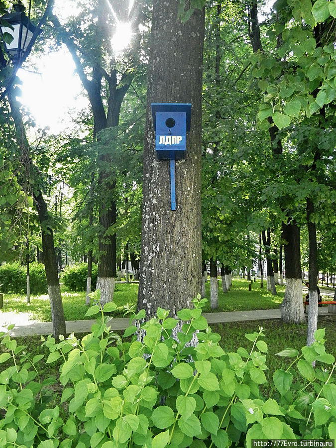 В саду даже птиц агитирует лдпр