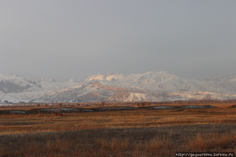 Музей-заповедник Бурана Бурана (Баласагун), Киргизия