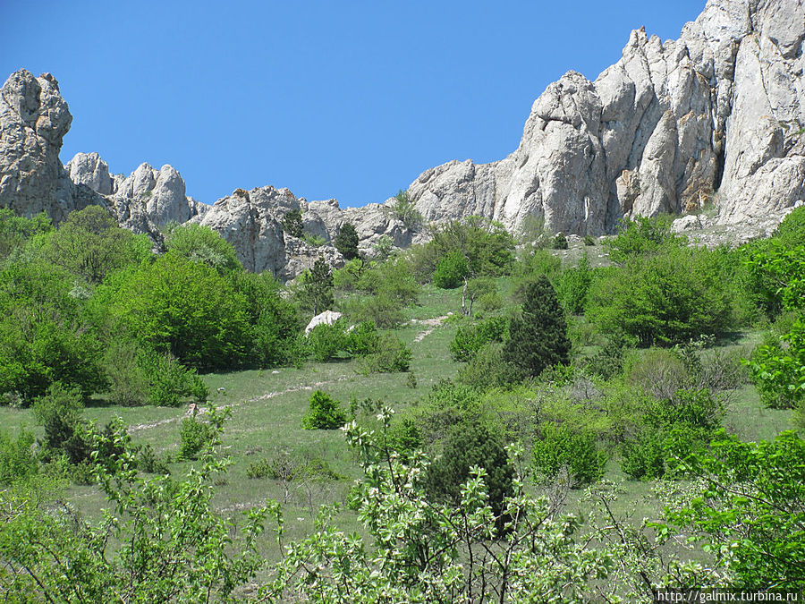 Крым украинский фото