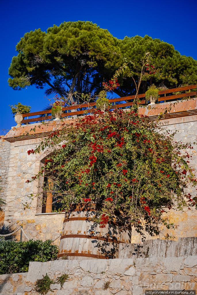 Винные погреба Гуэля (Гауди) / El Celler Güell (Gaudi)