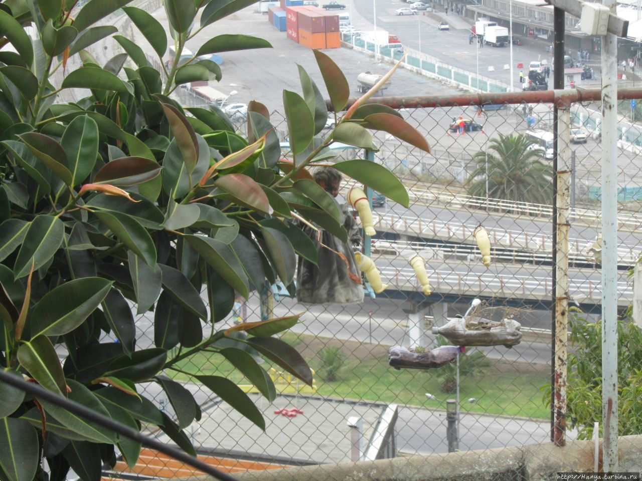 Фуникулер Фуникулер