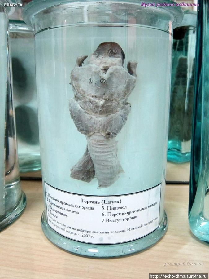 ЕЛАБУГА — ГОРОД МУЗЕЙ Елабуга, Россия