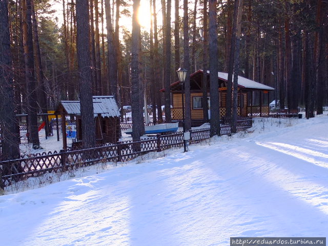 Я в весеннем лесу....пил))) Красноярск, Россия