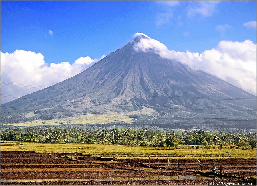 *У подножия вулкана на много километров простираются поля. И хотя это очень опасно, у филиппинцев, проживающих здесь и занимающихся сельским хозяйством, другого выхода нет. Они, наверняка, знают, что здесь творилось в 1993 году Легаспи, Филиппины