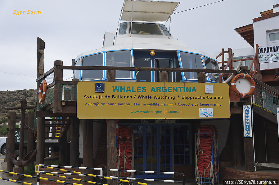 Аргентинские приключения — в гостях у китов и пингвинов Пуэрто-Мадрин, Аргентина