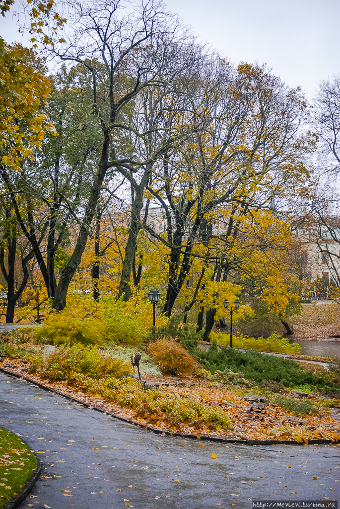 в дождь у городского канала Рига, Латвия