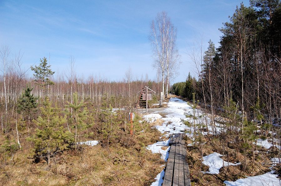 Болото Селисоо / Selisoo matkarada