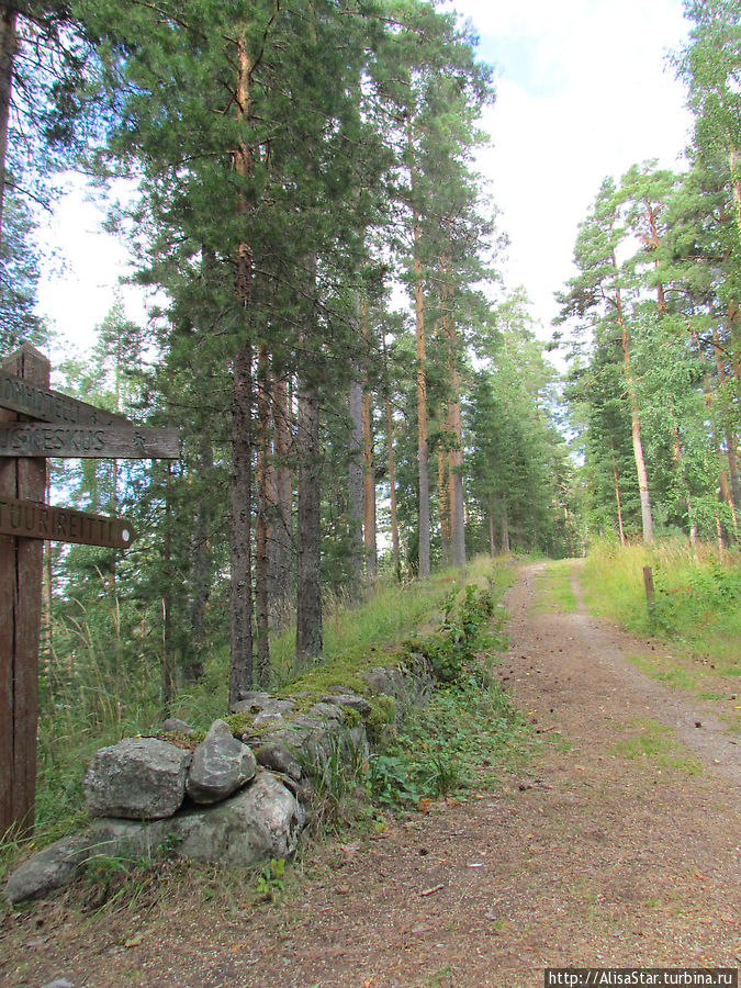 Старая Королевская (Царская) дорога в заповеднике Пункахарью Пункахарью, Финляндия