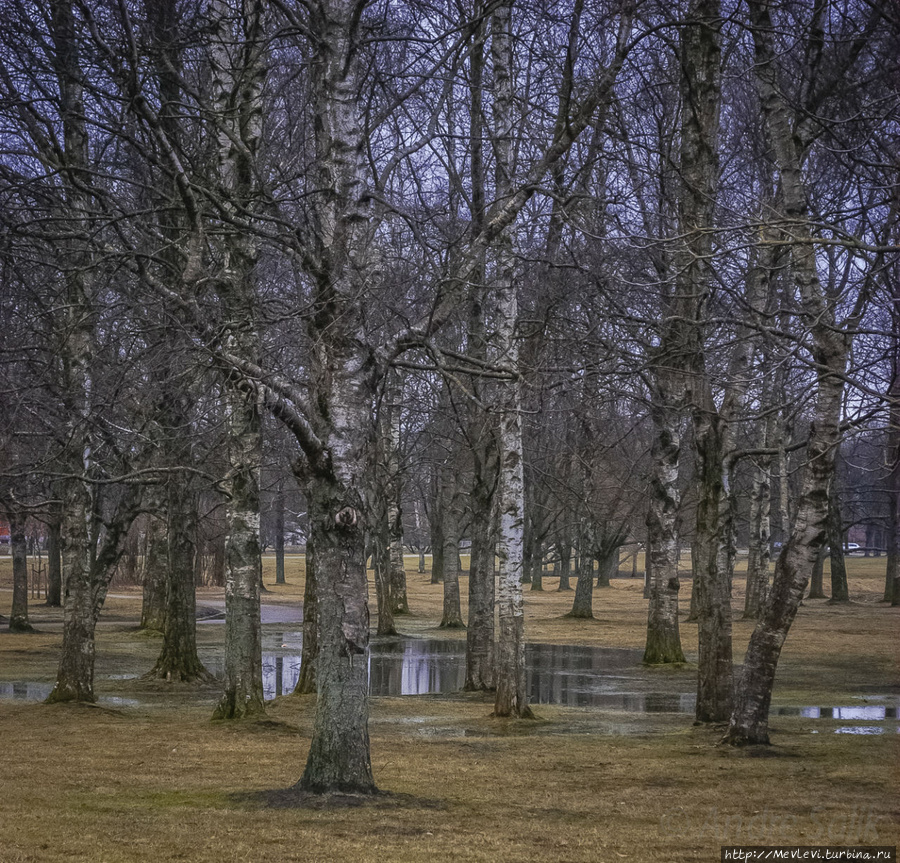 В марте в парке Аркадия Рига, Латвия