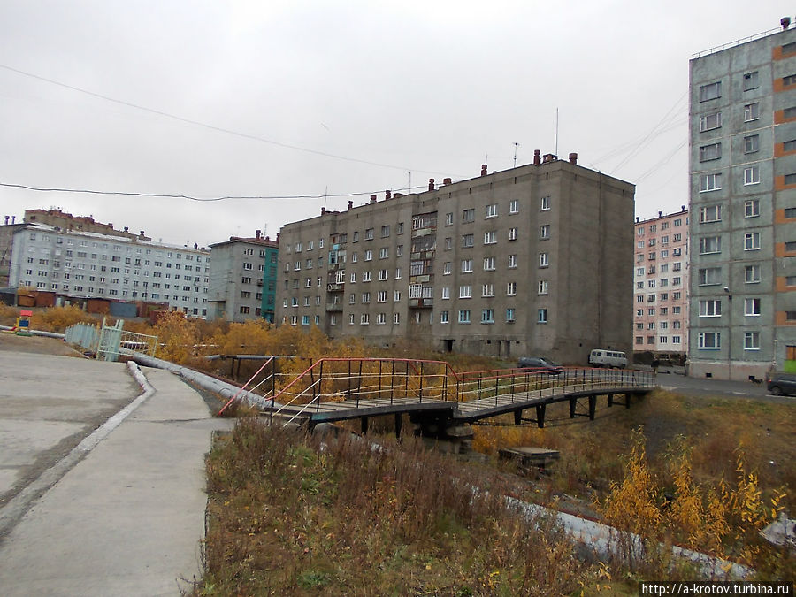 Фото старой дудинки