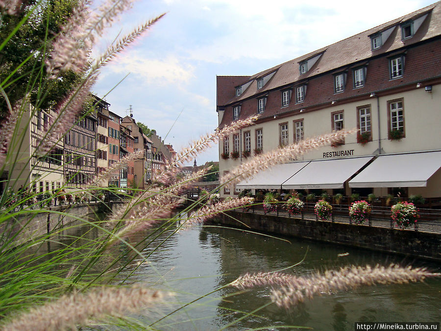 Незнайка в Цветочном городе Страсбург, Франция