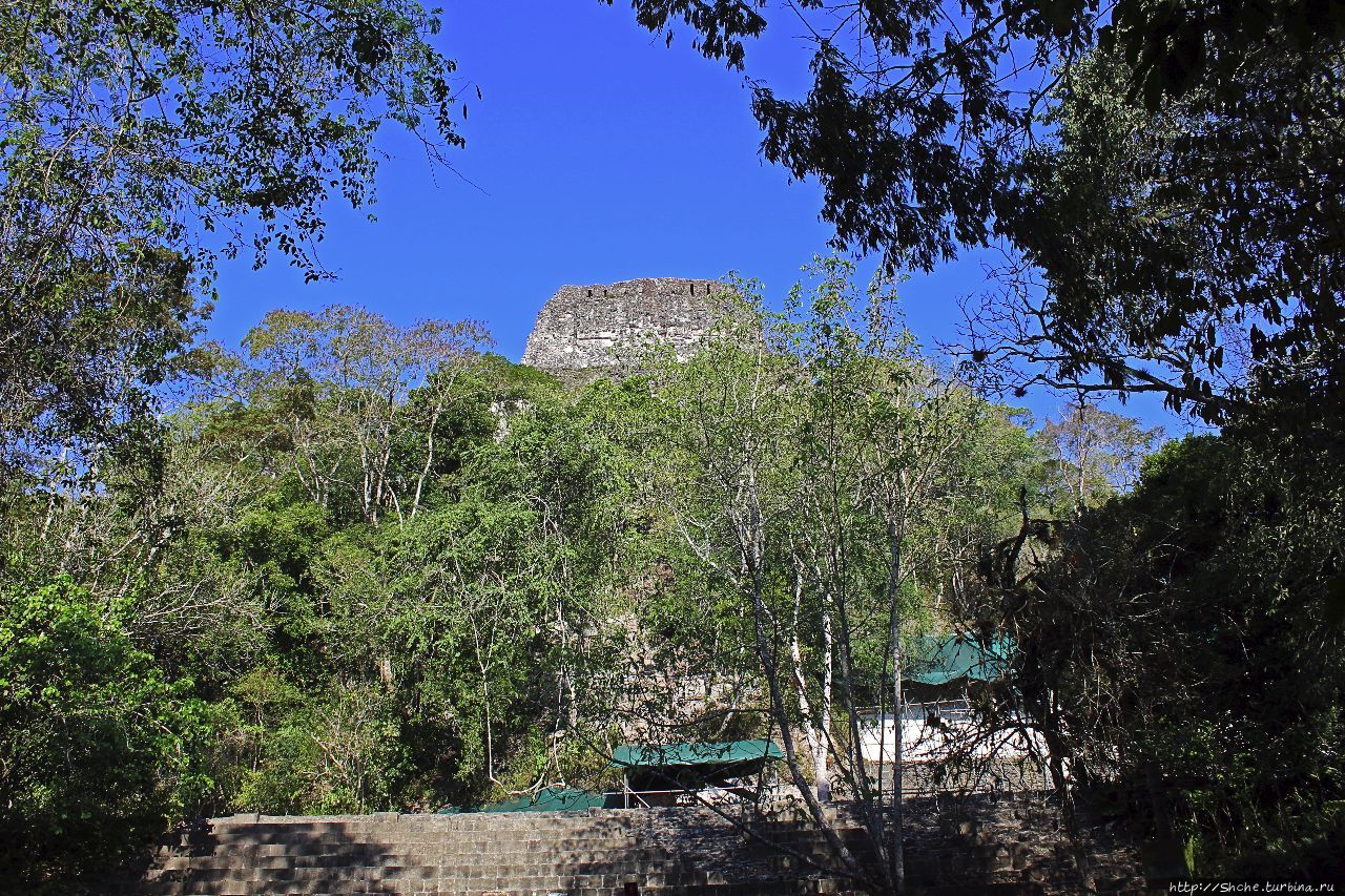 Национальный парк Тикаль Тикаль Национальный Парк, Гватемала