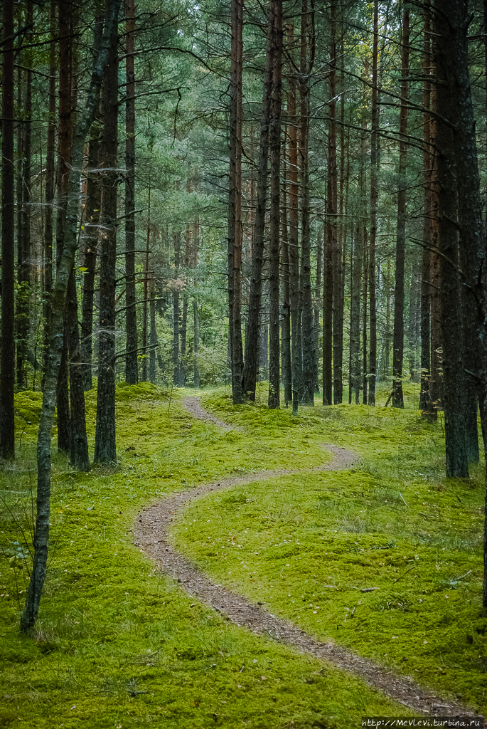 Остров Буллю Рига, Латвия