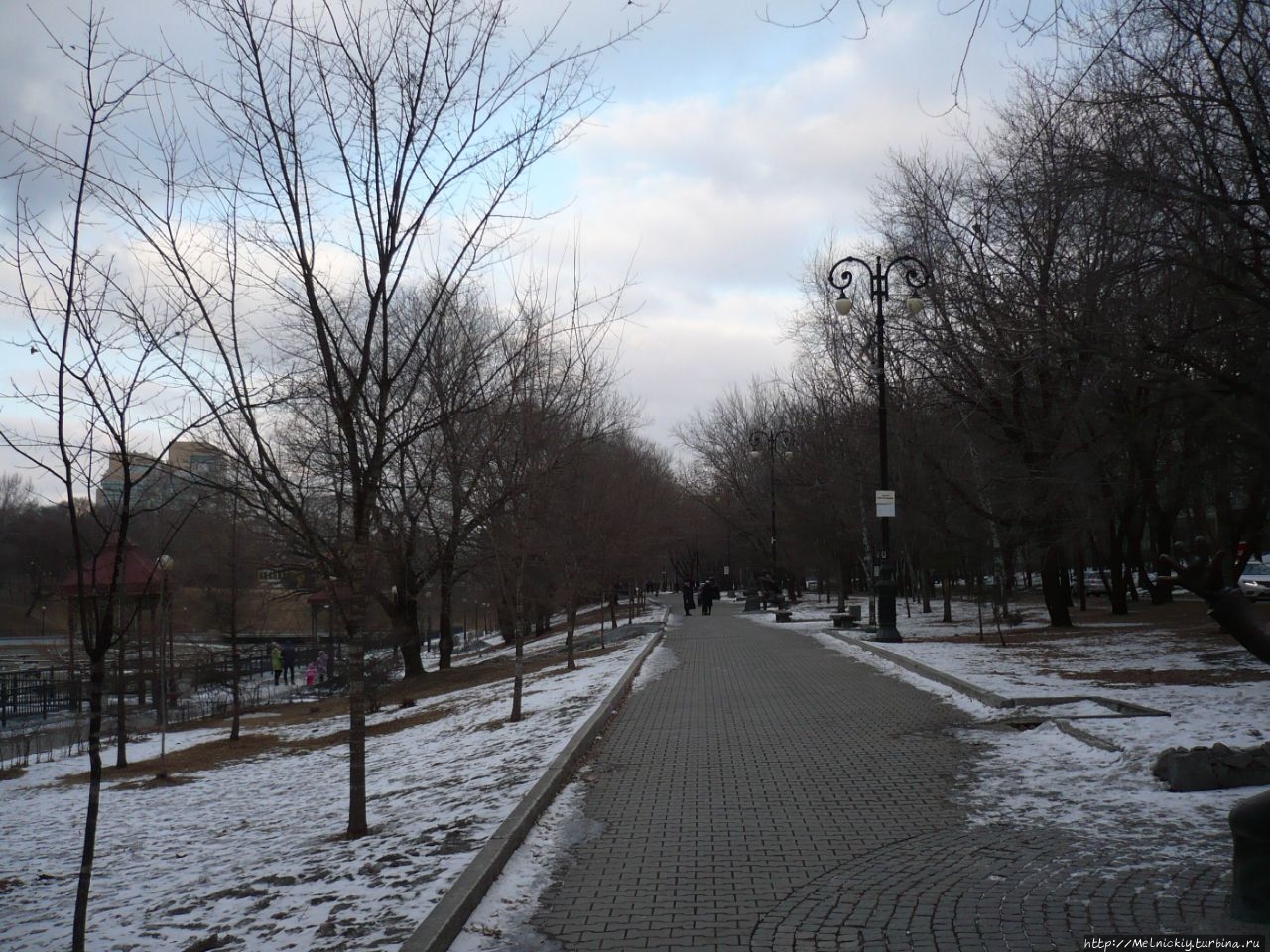 Городские пруды Хабаровск, Россия