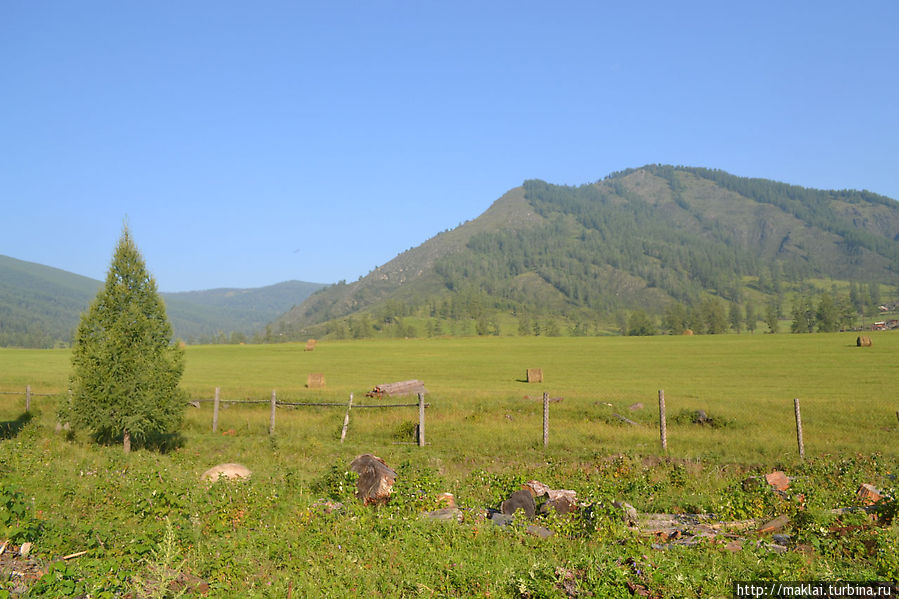 У т\б  Вечный странник Мульта, Россия