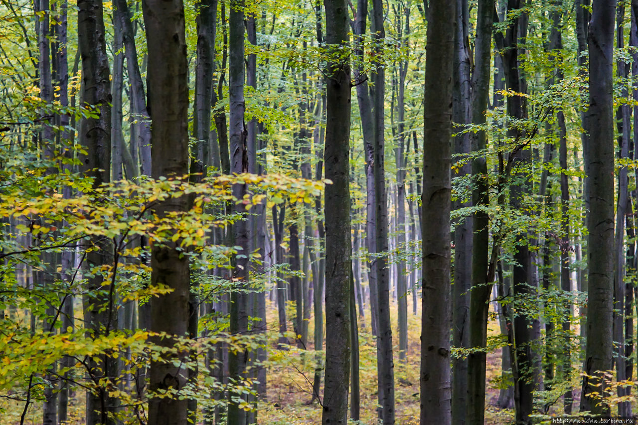 Осенние краски Чешской Моравии Южноморавский край, Чехия
