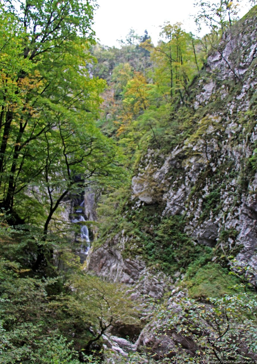 Шкоцянские пещеры Шкоцянские пещеры, Словения