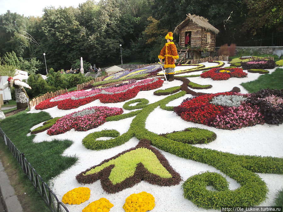 Выставка цветов-2012  — красиво, ярко, многолюдно Киев, Украина