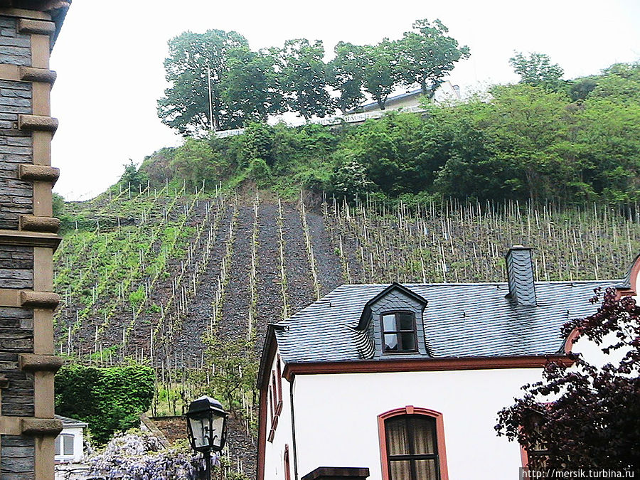 Бернкастель-Кус: отдохнуть и попробовать мозельские вина Бернкастель-Кюс, Германия