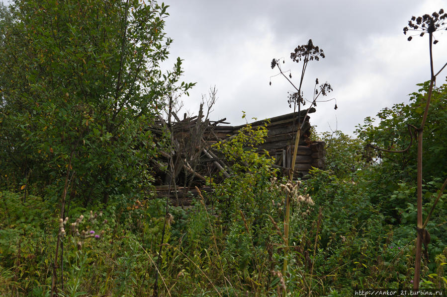 Яичники Киров, Россия