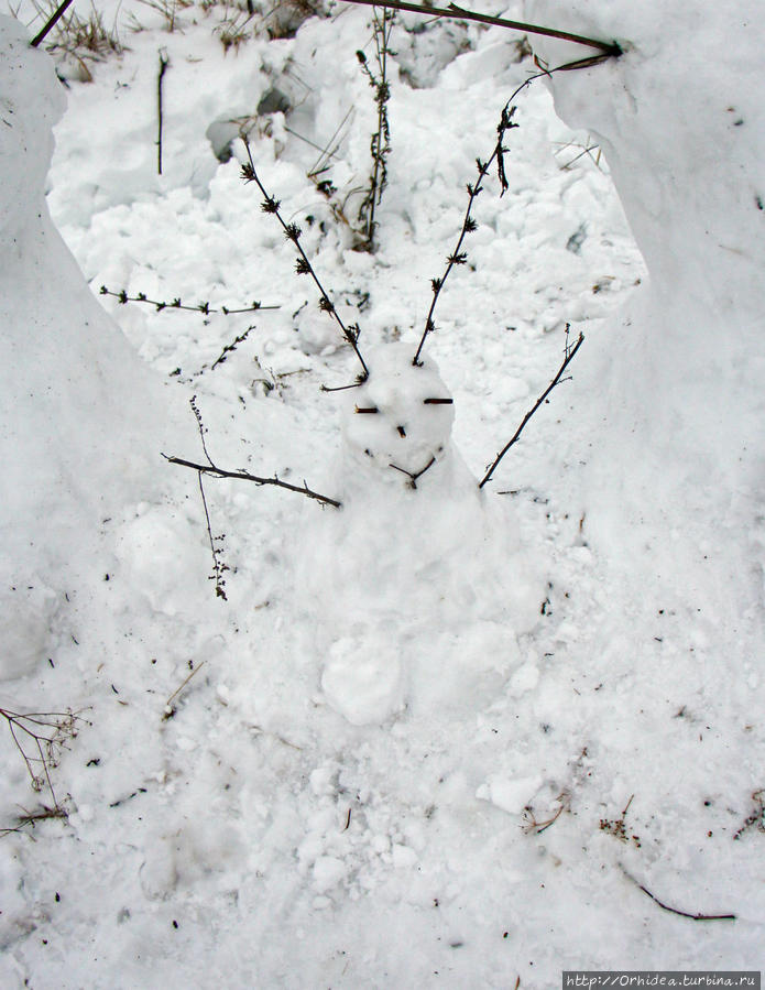 Семья снеговиков — дед, баба, внуки, собака и ... соседи Харьков, Украина
