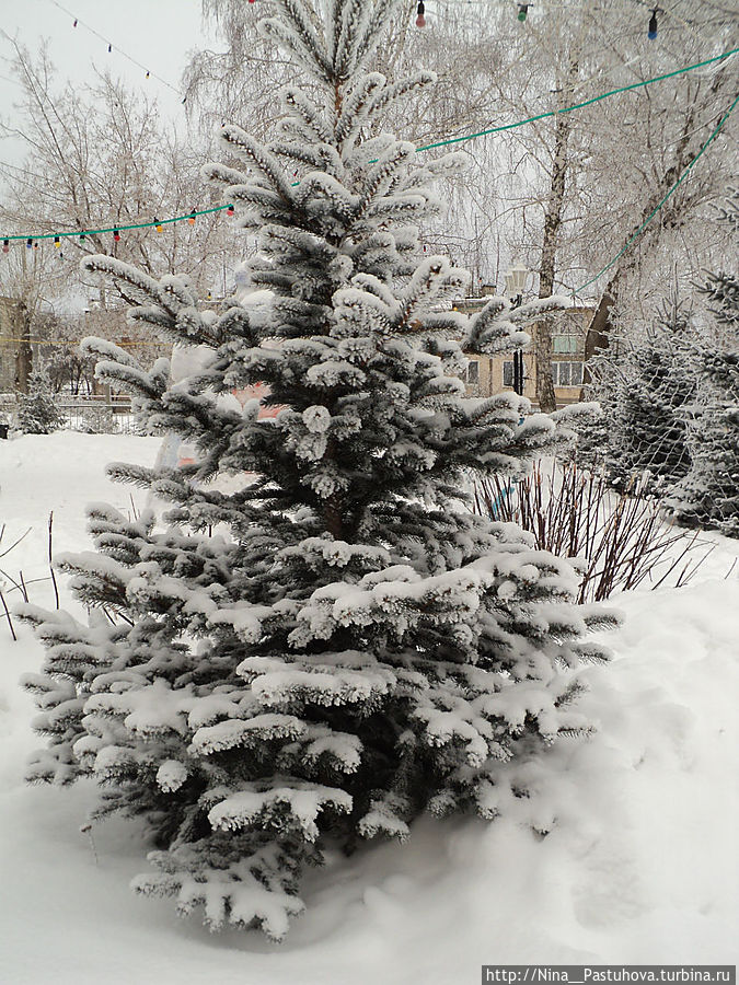 В  зимней  сказке