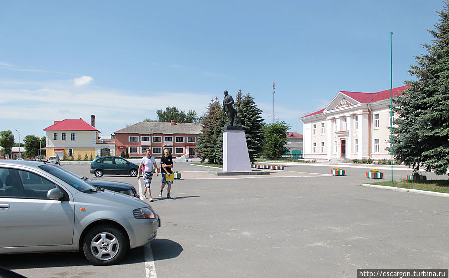 Именно тогда и начинается письменная история Петрикова. В первой половине XVI века, согласно некоторым документам, князь Юрий Олелькович построил в Петрикове на высоком берегу Припяти деревянный замок от набегов татар, вокруг которого и образовалось местечко. Замок был разрушен в 1534—1537 годах московскими войсками во время Русско-литовской (Стародубской) войны Великого княжества Литовского с Великим княжеством Московским.

С XVII века Петриков принадлежал Ходкевичам, «графам на Мыше, Шклове, Ляховичах, Глуске, Чернобыле и Петрикове».