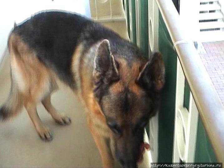 Обершлайсхайм — пригород Мюнхена Обершлайсхайм, Германия