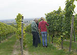 Три поколения виноделов