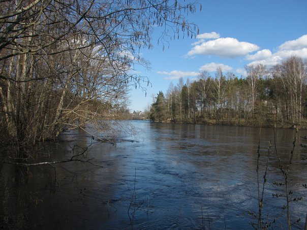 Река Плюсса весной Сланцы, Россия
