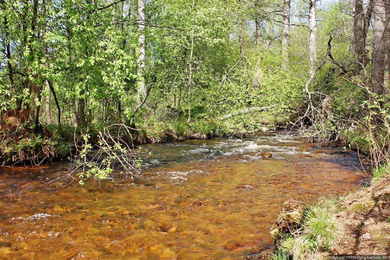 Гневная река Вихайоки (Vihajoki). Не канувшая в Лету Приморск, Россия