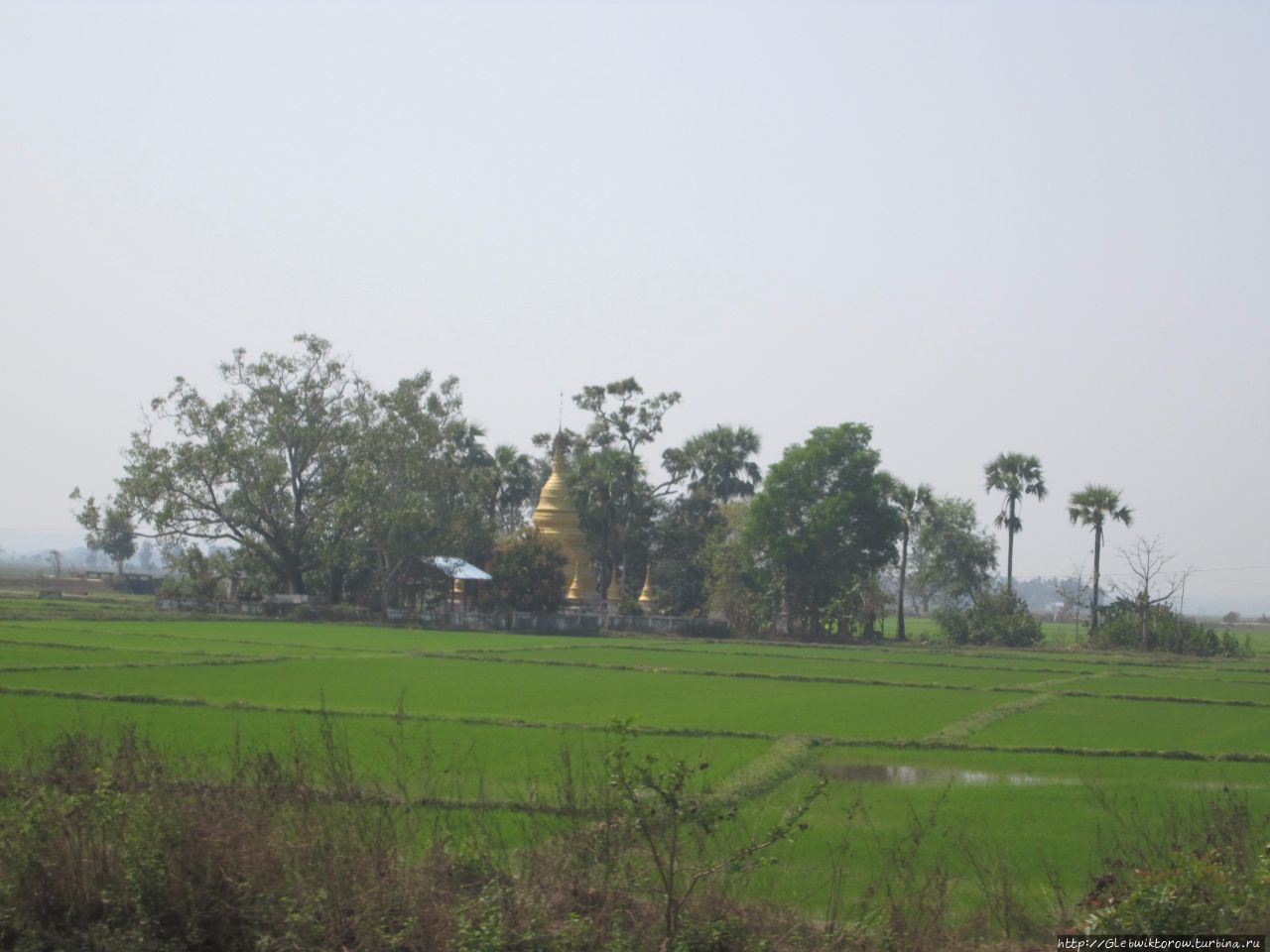 Поездка в Нейпьидо из Таунгу Нейпьидо, Мьянма
