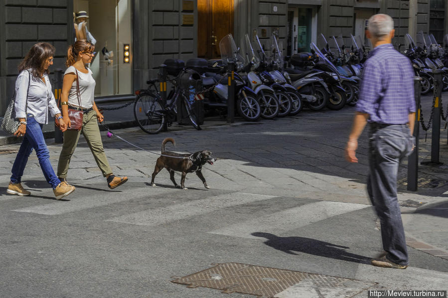 Утро Флоренции Флоренция, Италия