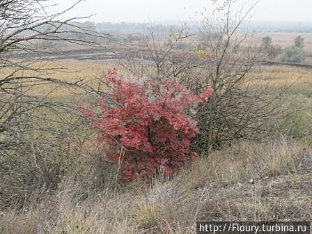 Панское озеро