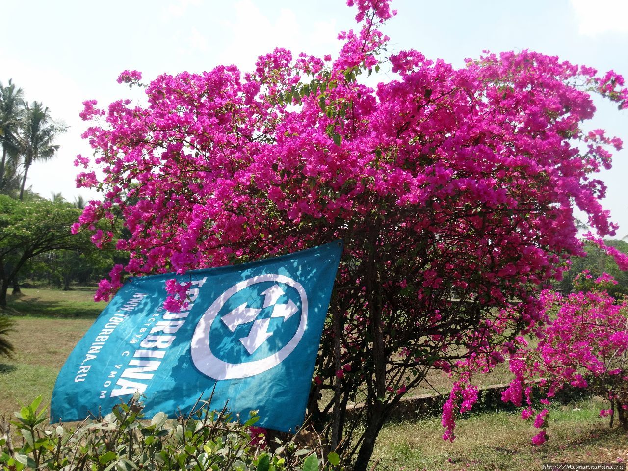 Сад Королевского дворца. Окрестности г. Баго. Мандалай, Мьянма